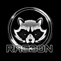 Racoon