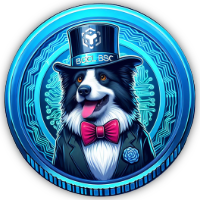 Border Collie BSC