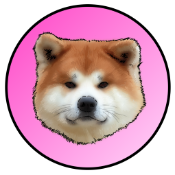 Big Tasty Icelandic Tender Sheepdog