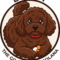 BERRY Charity Dog
