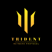 TRIDENT NETWORK