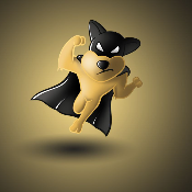 BatDoge