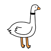 The GM Bird