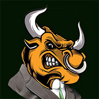 Bull Inu CEO