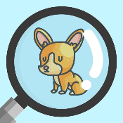 MicroDoge