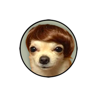 dogwifhair