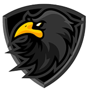 Raven Finance