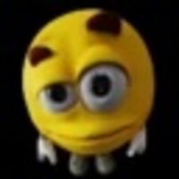 Joe Coin