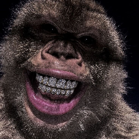 MONKEY ICE TEETH