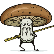 🍄Shiitake (t.me/shiitaketoken)🍄