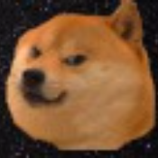 DOUBLE DOGE DARE