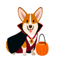 Halloween Floki
