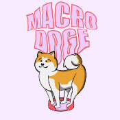 MacroDoge