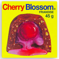 Cherry Blossom