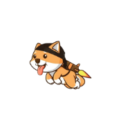 Lil Doge