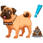 PooDoge
