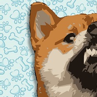 BARKINU