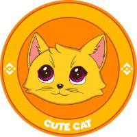 Cute Cat