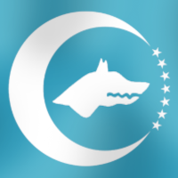 Turan Devleti
