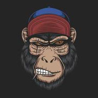 Monkey Star Coin