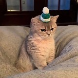 Grumpie