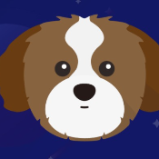 Baby Apso