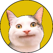 MEOW MOON