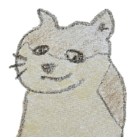 Test Inu
