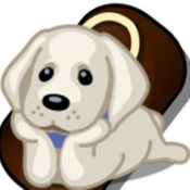 Chocolate dog