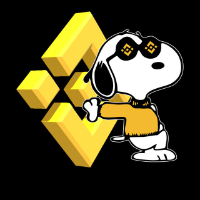 SN00PY AI AGENT