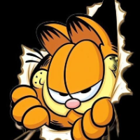OFFICIAL GARFEILD