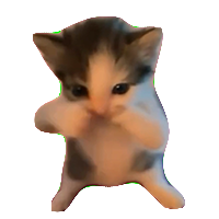 SCUBACAT