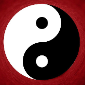 Ying and Yang Shiba