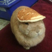 Baby Cake