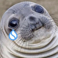 Akward Moment Seal