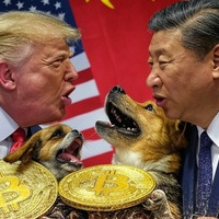 Tariff Storm