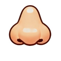Nose Ai