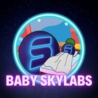 BabySkylabs