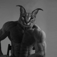 CHADCAT