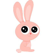 Baby Pink Bunny