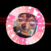C4R413ERG_F1N4NCE