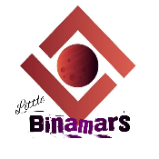 LittleBinamars