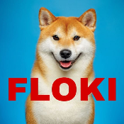 FlokiRise
