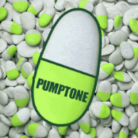PUMP FUN STONE LIVE