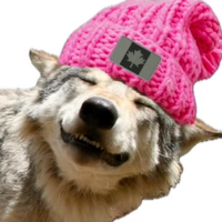 $WolfWif