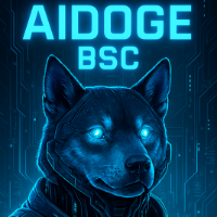 AIDOGE BSC