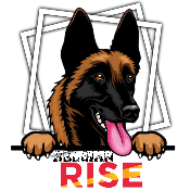 BelgianRise
