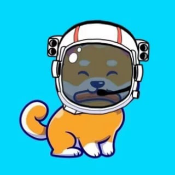 HTDOGE