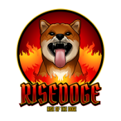 Rise of the Doge