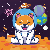 BabyMarsDOGE